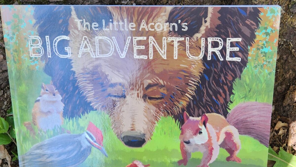 The Little Acorn's Big Adventure