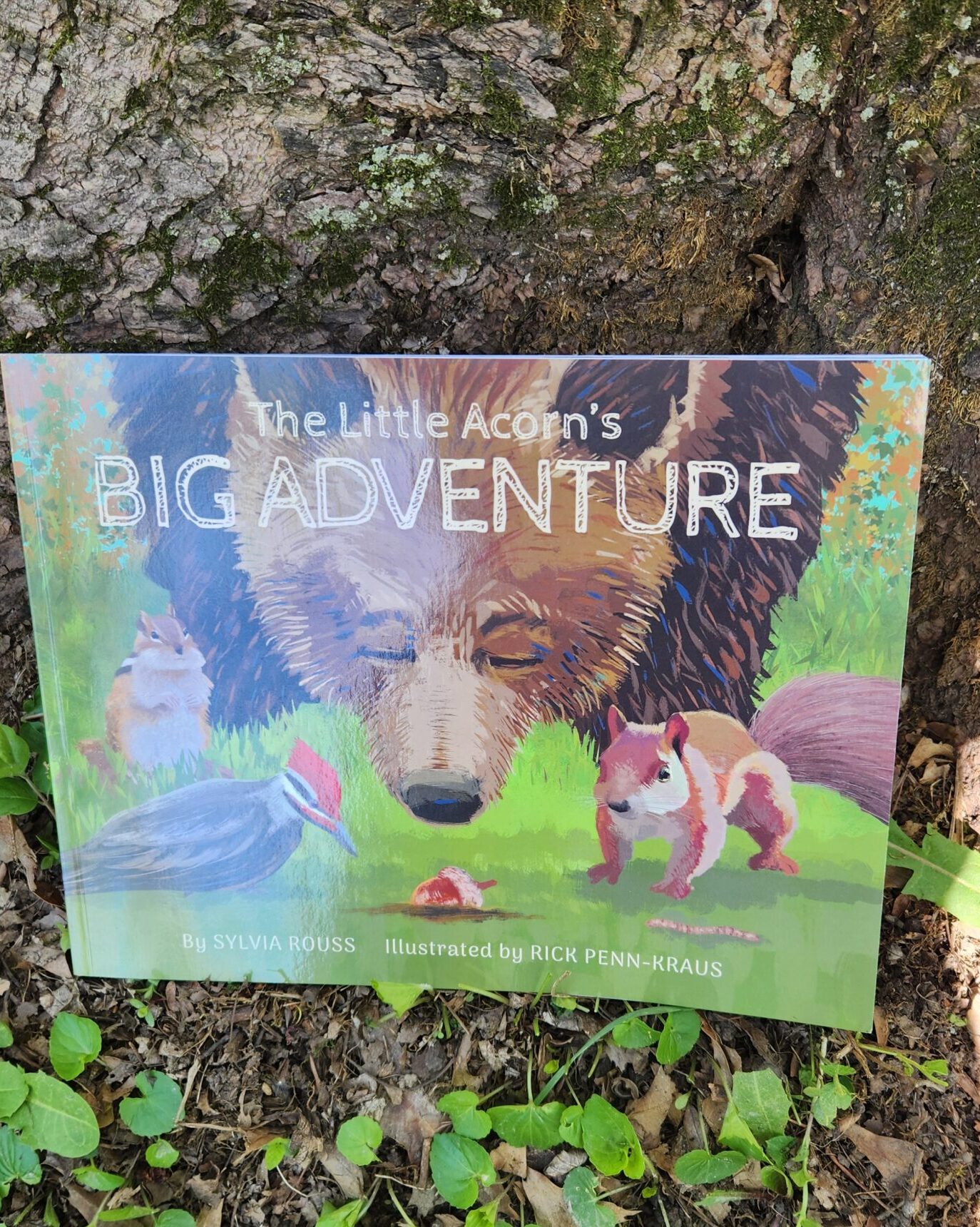 The Little Acorn's Big Adventure