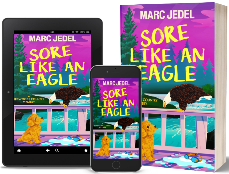 SORE LIKE AN EAGLE COVER 3