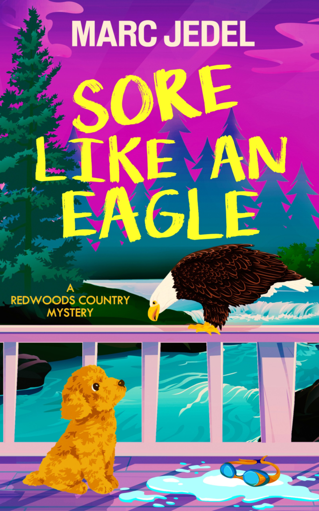 Sore Like an Eagle book cover
