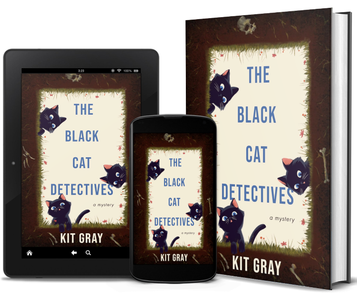 The Black Cat Detectives Cover image in ebook on tablet, phone and print copy.
