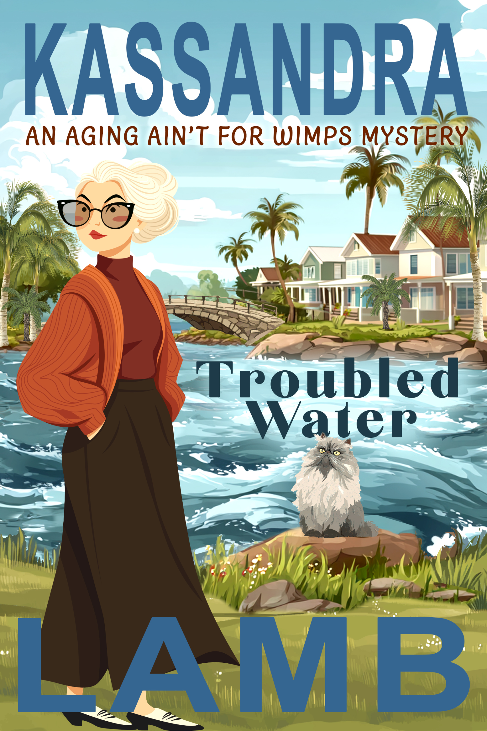 Troubled Water: An Aging Ain't for Wimps Mystery 2 Troubled Water cover image