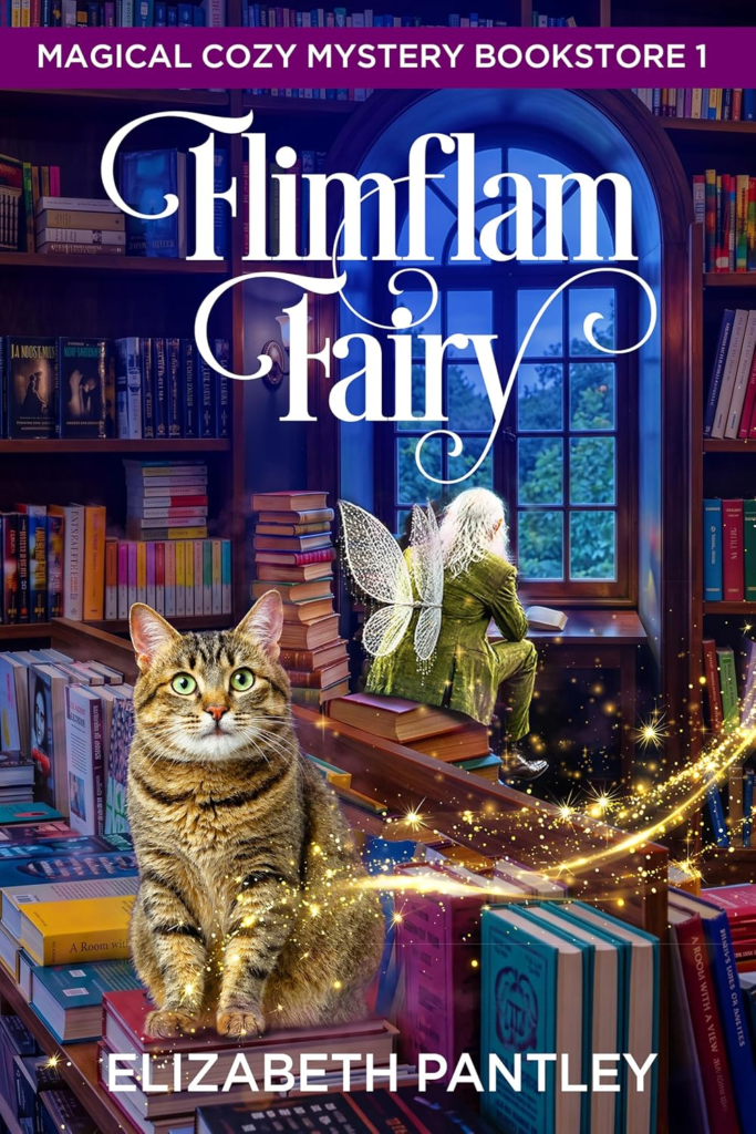 FLIM FLAM FAIRY COVER