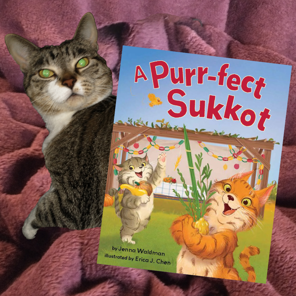 Jenna Waldman Discusses Purr-fect Sukkot 5 Purr fect Sukkot is the Cats Meow